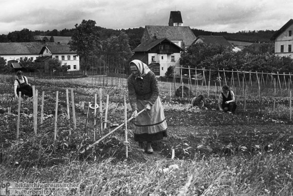 A Family of Expellees from the Sudetenland in Southern Germany (1948)